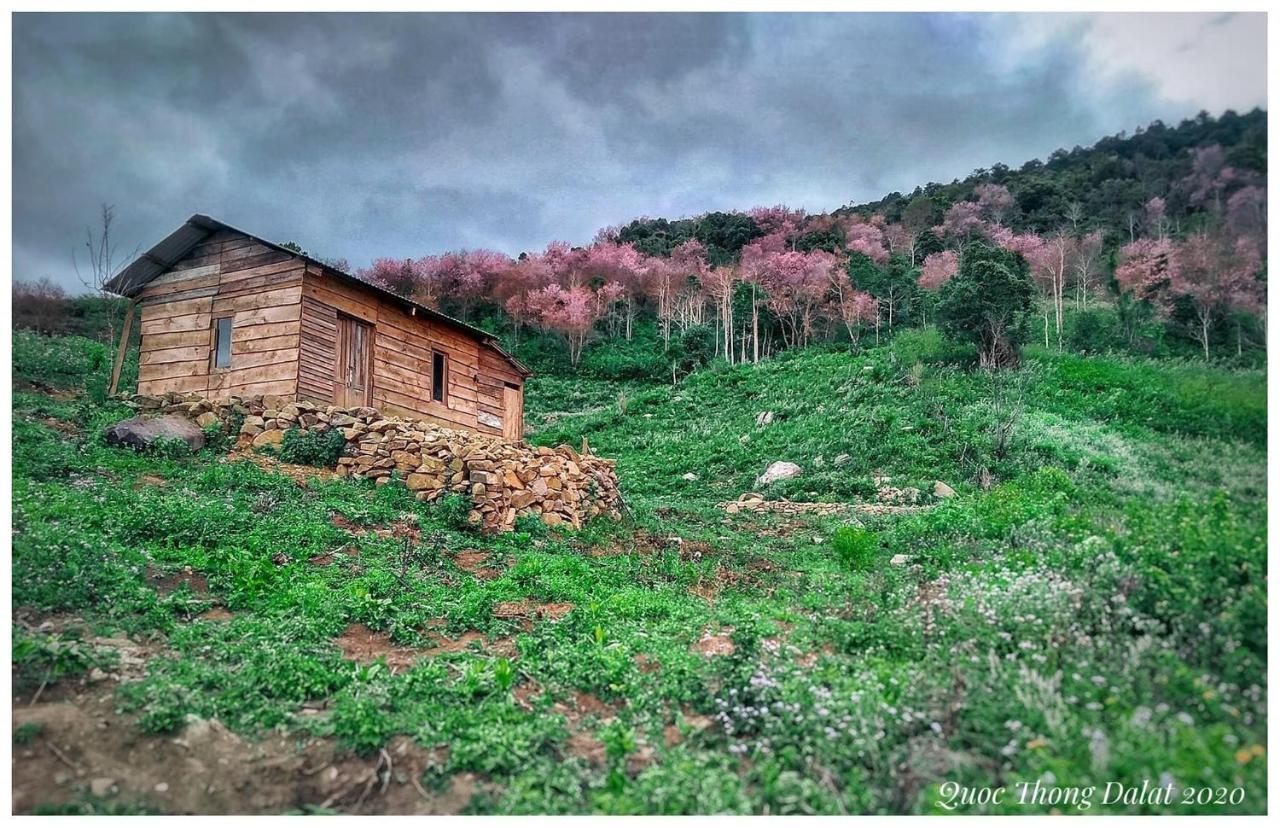 Vanila House Da Lat Esterno foto